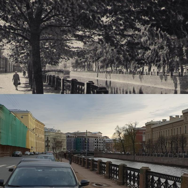 Город-сад: как в Петербурге за 300 лет исчезли деревья