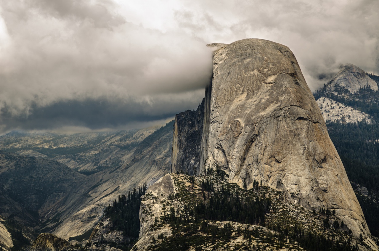 A View of Half Dome
