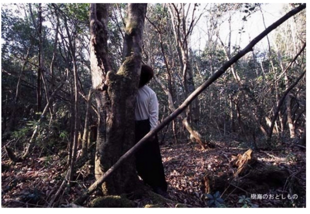 Аокигахара — лес самоубийц в Японии.