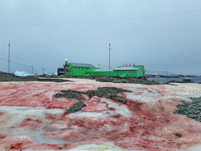 Почему кроваво-красный лед Антарктиды является жутким климатическим предзнаменованием