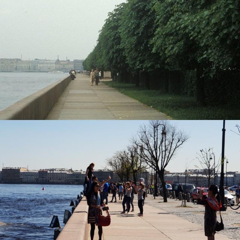 Город-сад: как в Петербурге за 300 лет исчезли деревья