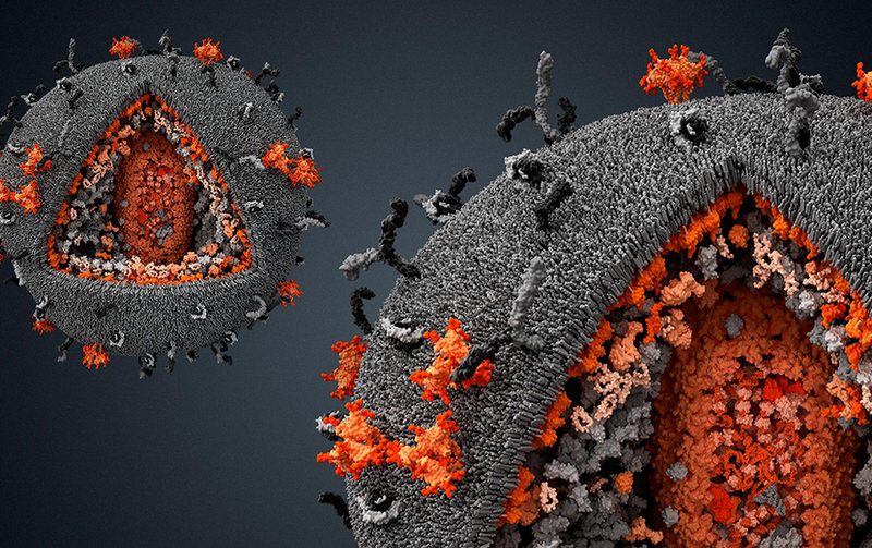 Что говорит наука о вирусах (1)