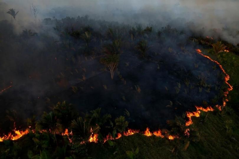 Экологов поймали на поджоге лесов Амазонии ради пожертвований 