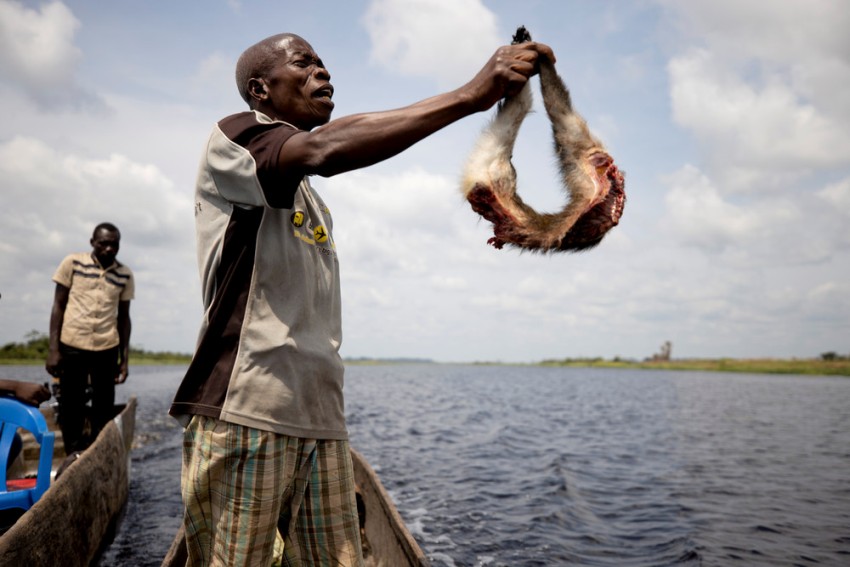 Грустные конголезские охотники. Охота в Конго Африка