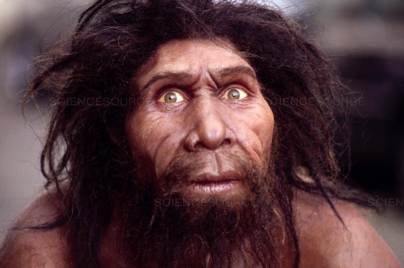 Nature: Самая древняя ДНК животного в мире – из Дманиси