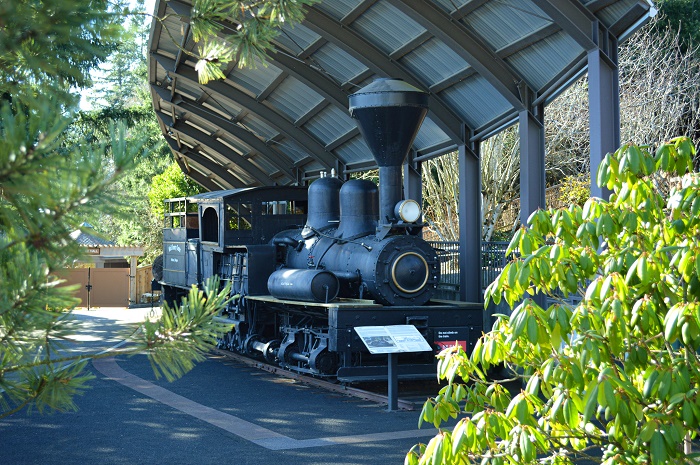 К счастью, поезд перевозивший лес сохранился по сей день (World Forestry Center Discovery Museum). | Фото: amusements-parks.com.