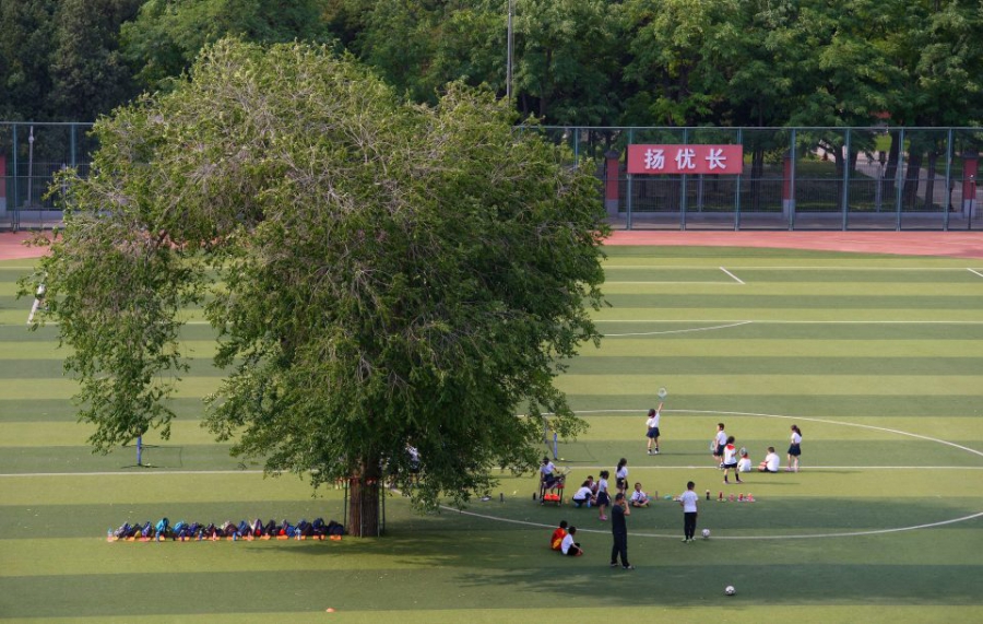 Дерево на футбольном поле Традиции,Китай