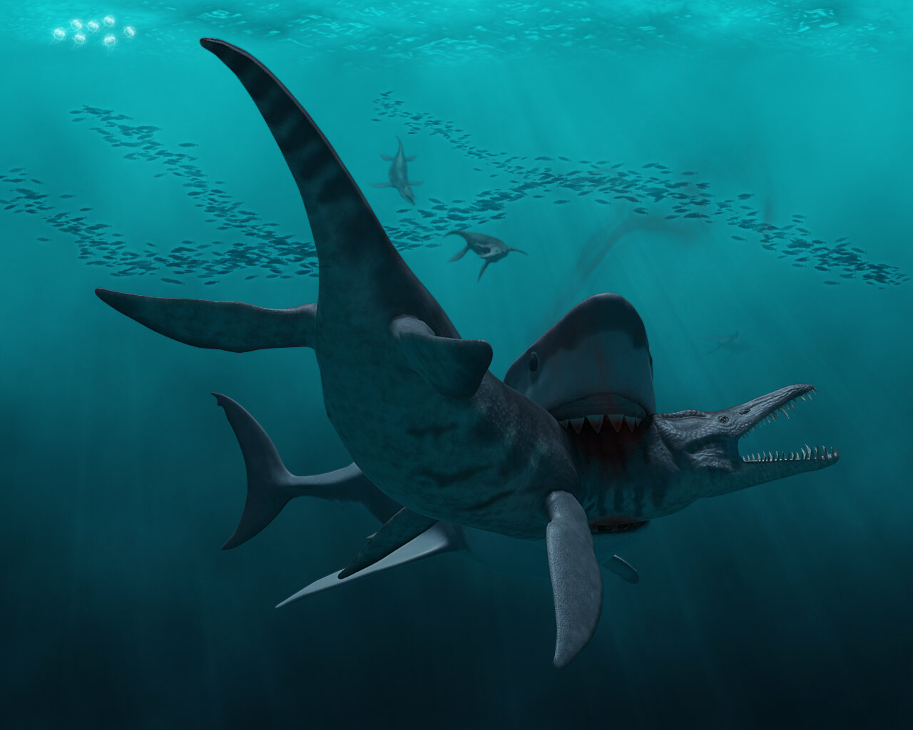 Болотная акула. Акула МЕГАЛОДОН. Акула кархародон. Carcharodon Megalodon. Вымершая акула МЕГАЛОДОН.