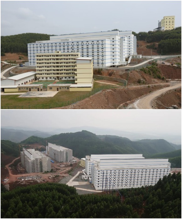 Начиная с 2019 года строить многоэтажные свино-отели стало популярным занятием (комплекс Yangxiang, Гуйган).