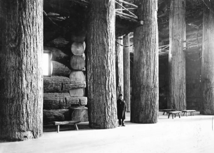 54 колонны из стволов вековой пихты Дугласа диаметром 1,8 м поддерживают центральную часть павильона («Здание лесного хозяйства», Портленд). | Фото: vintageportland.wordpress.com.