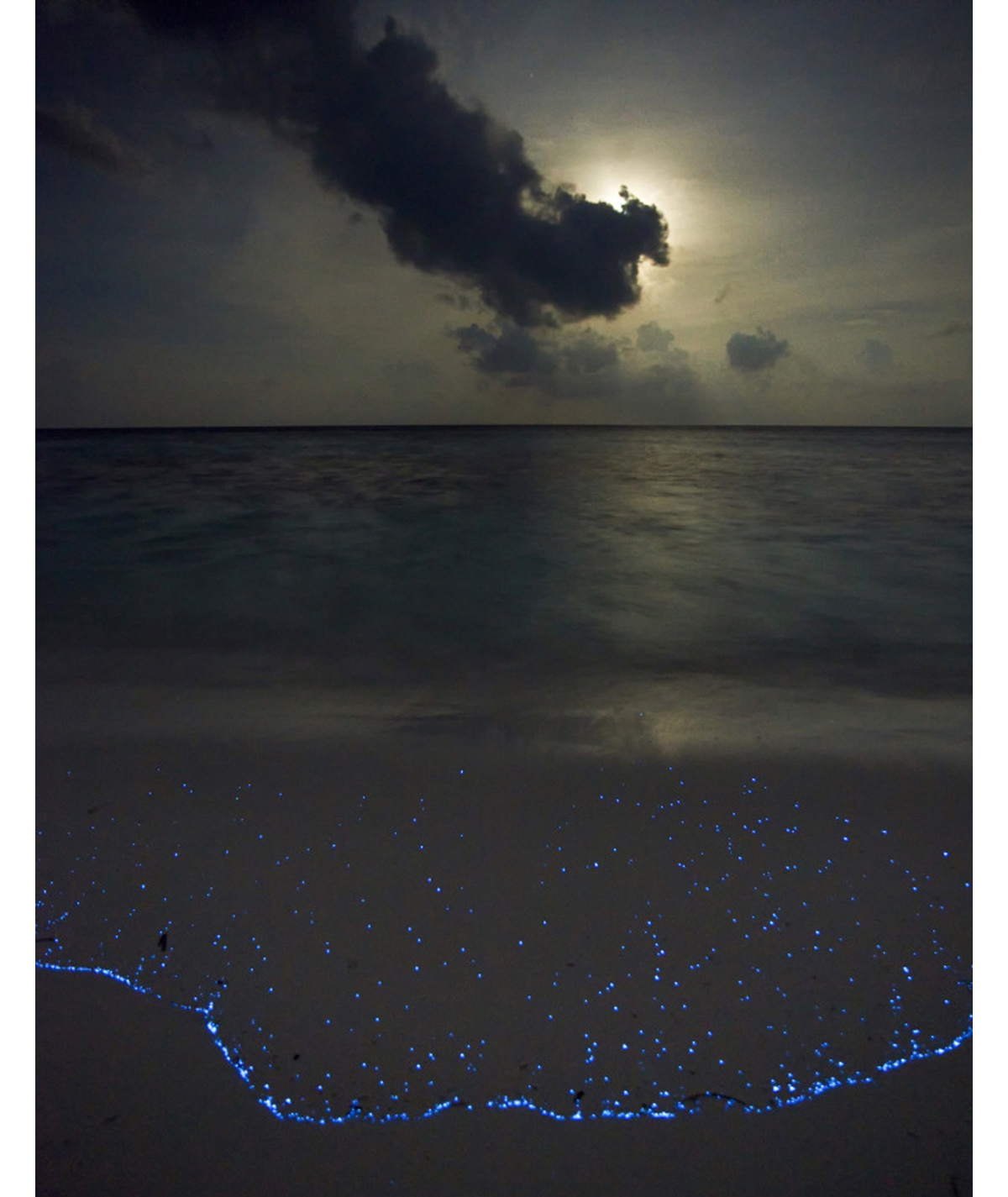 Остров Ваадху и светящиеся пляжи Мальдив Мальдивы