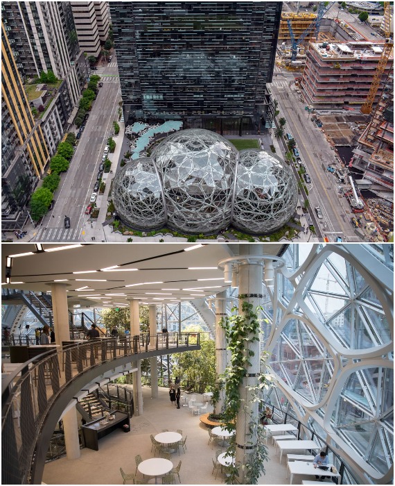 Среди многоуровневого ботанического сада находятся рабочие пространства сотрудников и места отдыха (The Spheres Amazon, Сиэтл). 