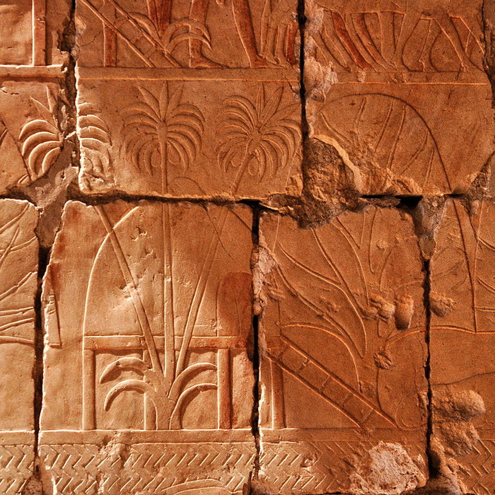 Откуда к древним египтянам пришли их боги? История,Египет