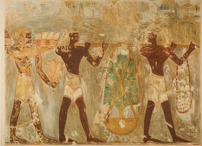 Откуда к древним египтянам пришли их боги? История,Египет