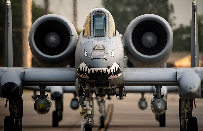 Штурмовик A-10 Thunderbolt II./ Фото: pinterest.com