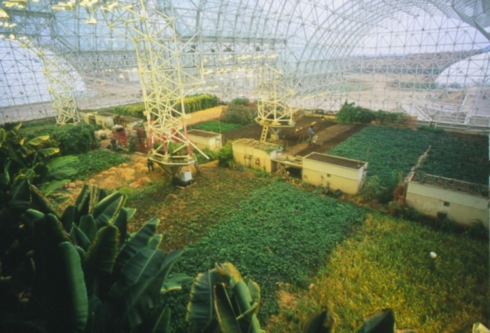 Ферма для выращивания урожая в «Биосфере-2». /Фото: hybridtechcar.com