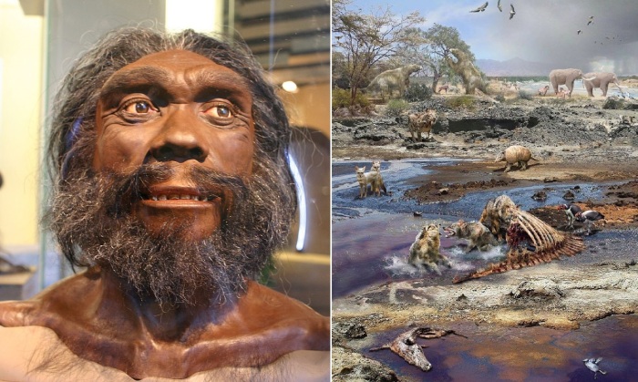 Так выглядел Homo heidelbergensis (гейдельбергский человек).