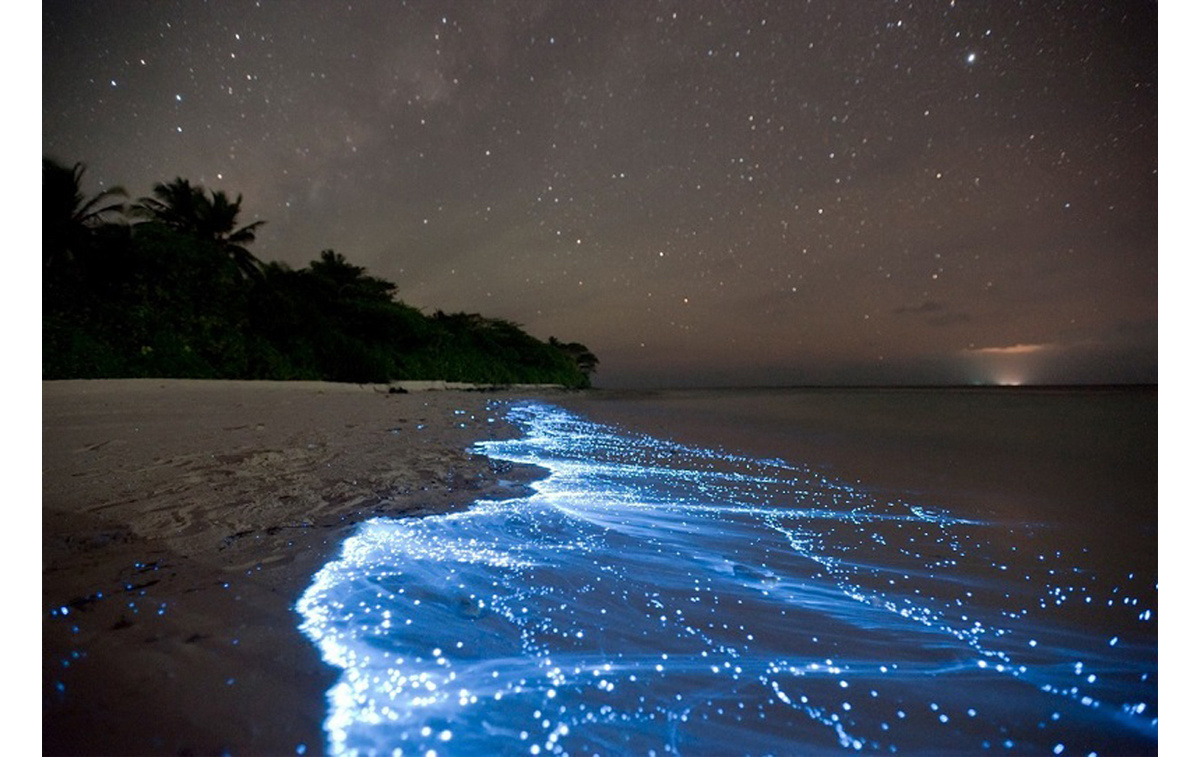 Остров Ваадху и светящиеся пляжи Мальдив Мальдивы