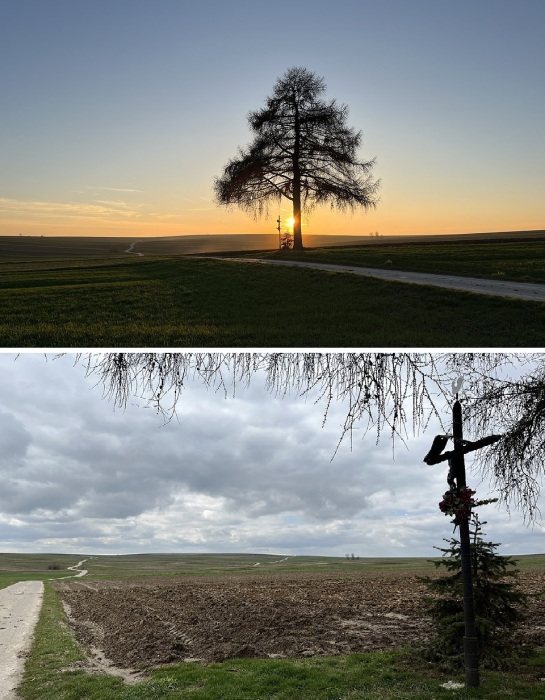 С дороги ничего особенного в одной из тысяч деревень Польши заметить нельзя (Sułoszowa).