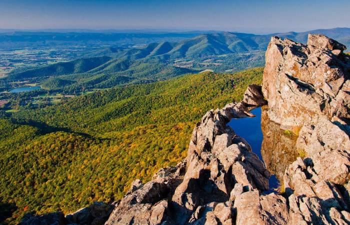 Национальный парк Вирджинии. / Фото: tripandtrep.com