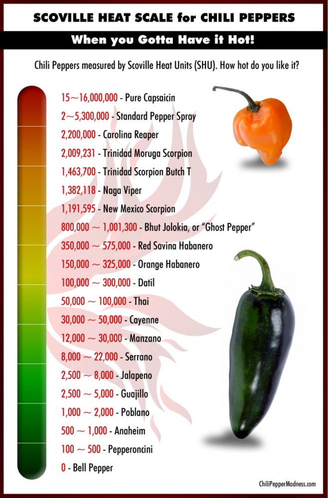 the-scoville-scale-the-world-s-spiciest-peppers-ranked-by-scoville-heat-units-plyvine-catering