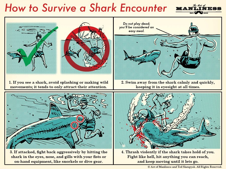 Как пережить нападение акулы нападение акул отвратительные мужики disgusting men