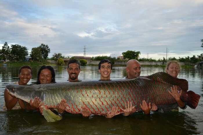 Встречаются очень большие рыбы. |Фото: activefisher.net.
