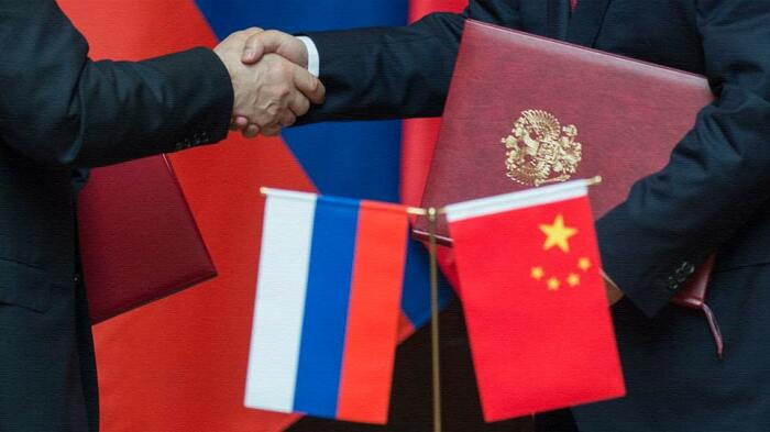 Китай и Россия активно сотрудничают в сфере производства продуктов на основе гриба чага / Фото: apral.ru