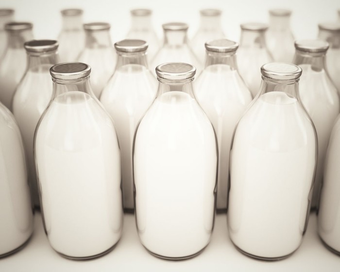 Из гомогенизированного и ультрапастеризованного молока простокваша вряд ли получится / Фото: news.milkbranch.ru