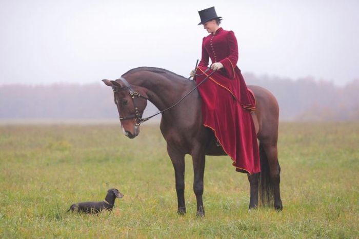Почему женщины ездили на лошади боком Традиции