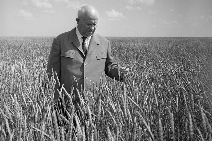 Н. С. Хрущев, генсек ЦК КПСС, в период с 1954 г. по 1965 г. провел 2 серьезные кампании, направленные на освоение целины Сибири и Казахстана и выращиванию кукурузы / Фото: realtribune.ru