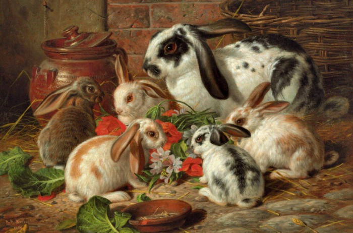 Почему на Руси употребление в пищу мяса кролика считалось большим грехом Традиции,Еда